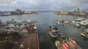 ./images/victoria/wharf/20200222/wharf20200222_122950.jpg
