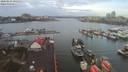./images/victoria/wharf/20200224/wharf20200224_091954.jpg