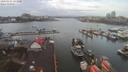 ./images/victoria/wharf/20200224/wharf20200224_092950.jpg