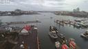 ./images/victoria/wharf/20200224/wharf20200224_093956.jpg