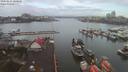 ./images/victoria/wharf/20200224/wharf20200224_100449.jpg