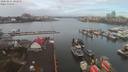 ./images/victoria/wharf/20200224/wharf20200224_101455.jpg