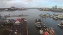 ./images/victoria/wharf/20200224/wharf20200224_101958.jpg