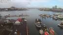 ./images/victoria/wharf/20200224/wharf20200224_102451.jpg
