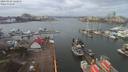 ./images/victoria/wharf/20200224/wharf20200224_122454.jpg