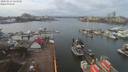 ./images/victoria/wharf/20200224/wharf20200224_125451.jpg