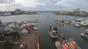 ./images/victoria/wharf/20200224/wharf20200224_132456.jpg