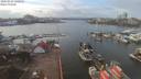 ./images/victoria/wharf/20200224/wharf20200224_135954.jpg