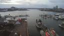 ./images/victoria/wharf/20200224/wharf20200224_153957.jpg