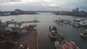 ./images/victoria/wharf/20200224/wharf20200224_155455.jpg
