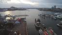 ./images/victoria/wharf/20200224/wharf20200224_161958.jpg