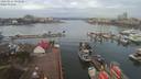./images/victoria/wharf/20200225/wharf20200225_091451.jpg