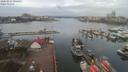 ./images/victoria/wharf/20200225/wharf20200225_091954.jpg
