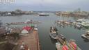 ./images/victoria/wharf/20200225/wharf20200225_094448.jpg