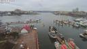 ./images/victoria/wharf/20200225/wharf20200225_101454.jpg