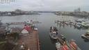 ./images/victoria/wharf/20200225/wharf20200225_102459.jpg