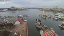 ./images/victoria/wharf/20200225/wharf20200225_104954.jpg