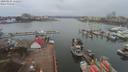 ./images/victoria/wharf/20200225/wharf20200225_111949.jpg