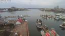./images/victoria/wharf/20200225/wharf20200225_112954.jpg