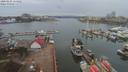 ./images/victoria/wharf/20200225/wharf20200225_113959.jpg