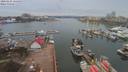 ./images/victoria/wharf/20200225/wharf20200225_114955.jpg
