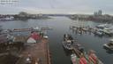 ./images/victoria/wharf/20200225/wharf20200225_115950.jpg