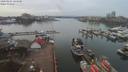 ./images/victoria/wharf/20200225/wharf20200225_124456.jpg