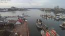 ./images/victoria/wharf/20200225/wharf20200225_125452.jpg