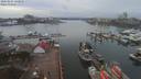 ./images/victoria/wharf/20200225/wharf20200225_132458.jpg