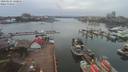 ./images/victoria/wharf/20200225/wharf20200225_140452.jpg