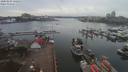 ./images/victoria/wharf/20200225/wharf20200225_141950.jpg