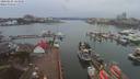 ./images/victoria/wharf/20200225/wharf20200225_144454.jpg