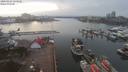 ./images/victoria/wharf/20200225/wharf20200225_154458.jpg