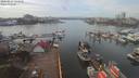 ./images/victoria/wharf/20200227/wharf20200227_132951.jpg