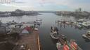 ./images/victoria/wharf/20200227/wharf20200227_140952.jpg