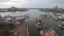 ./images/victoria/wharf/20200227/wharf20200227_141958.jpg