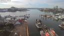 ./images/victoria/wharf/20200227/wharf20200227_142450.jpg