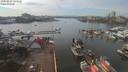 ./images/victoria/wharf/20200227/wharf20200227_142953.jpg