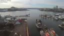 ./images/victoria/wharf/20200227/wharf20200227_144451.jpg