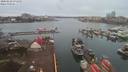 ./images/victoria/wharf/20200228/wharf20200228_070956.jpg