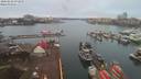 ./images/victoria/wharf/20200228/wharf20200228_071459.jpg