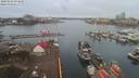./images/victoria/wharf/20200228/wharf20200228_073953.jpg
