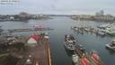 ./images/victoria/wharf/20200228/wharf20200228_080457.jpg