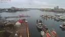 ./images/victoria/wharf/20200228/wharf20200228_080949.jpg