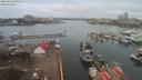 ./images/victoria/wharf/20200228/wharf20200228_082457.jpg