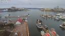 ./images/victoria/wharf/20200228/wharf20200228_111956.jpg