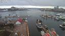 ./images/victoria/wharf/20200228/wharf20200228_121455.jpg
