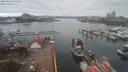 ./images/victoria/wharf/20200228/wharf20200228_123958.jpg