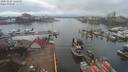 ./images/victoria/wharf/20200228/wharf20200228_130955.jpg