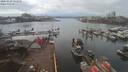 ./images/victoria/wharf/20200228/wharf20200228_131458.jpg